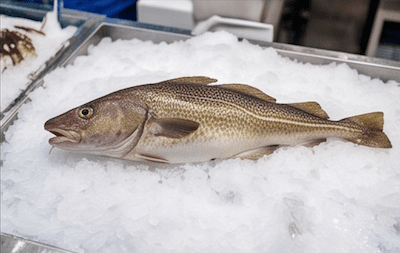 cod · could