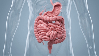 A gut feeling — instinct from the stomach