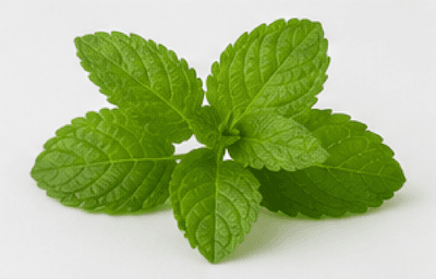 mint · meant