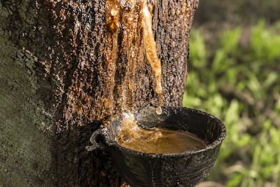 sap · soap · soup