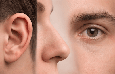 Five senses — touch, taste, smell, sight, hearing